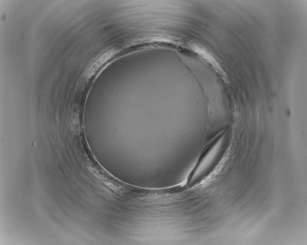 X0000075830977200609291417