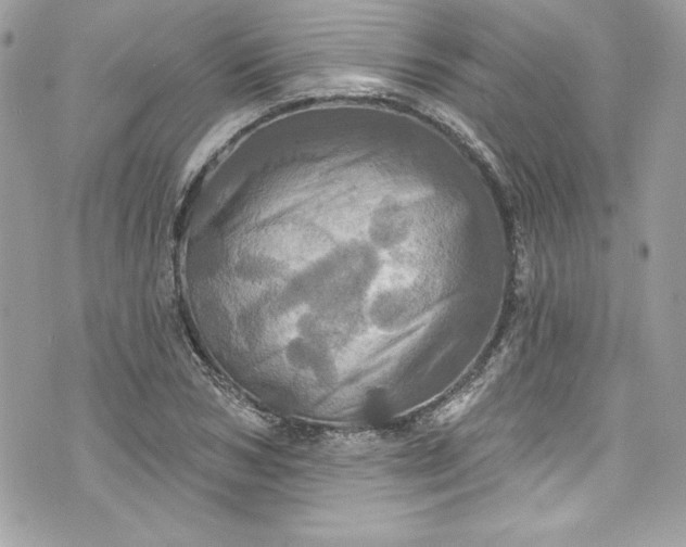 X0000075830978200609291417