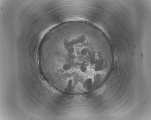 X0000075830979200609291417