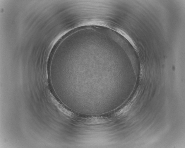 X0000075830980200609291417