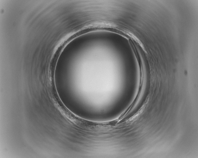 X0000075830981200609291417