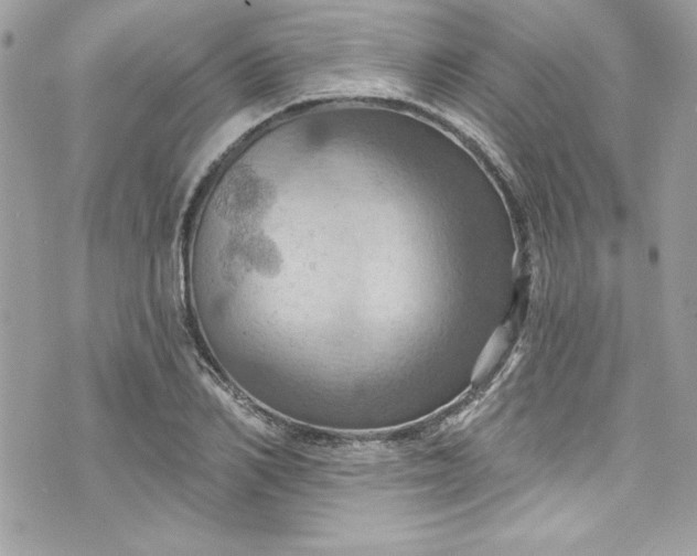 X0000075830982200609291417