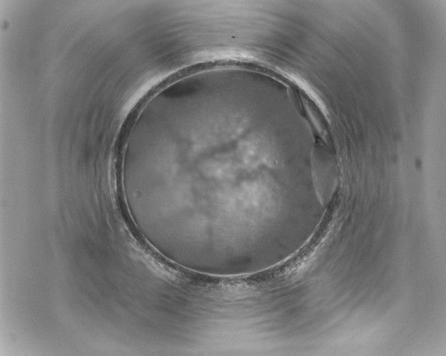 X0000075830983200609291417