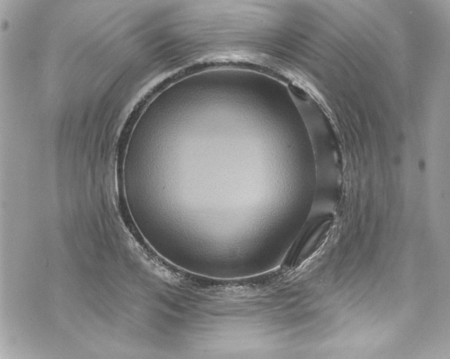 X0000075830984200609291417