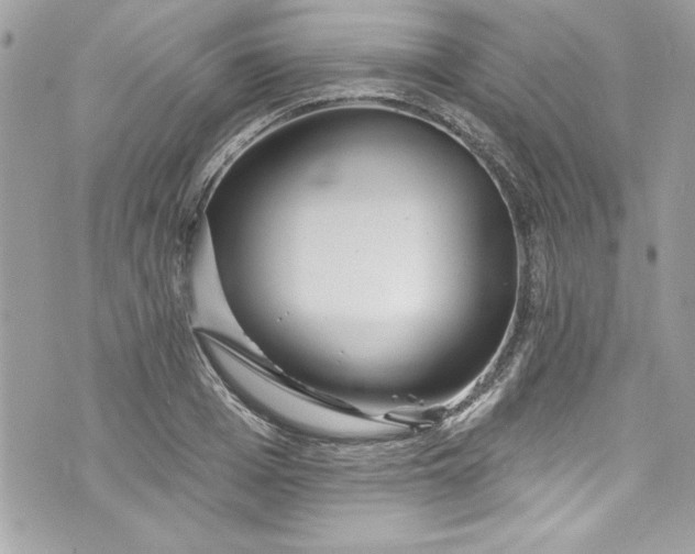 X0000075830985200609291417