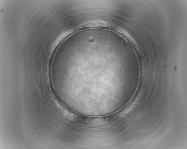 X0000075830986200609291417