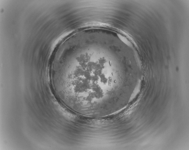 X0000075830987200609291417