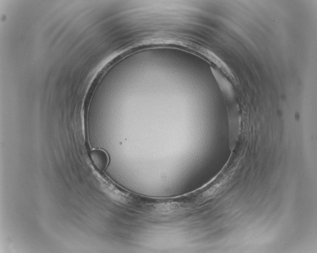 X0000075830988200609291417