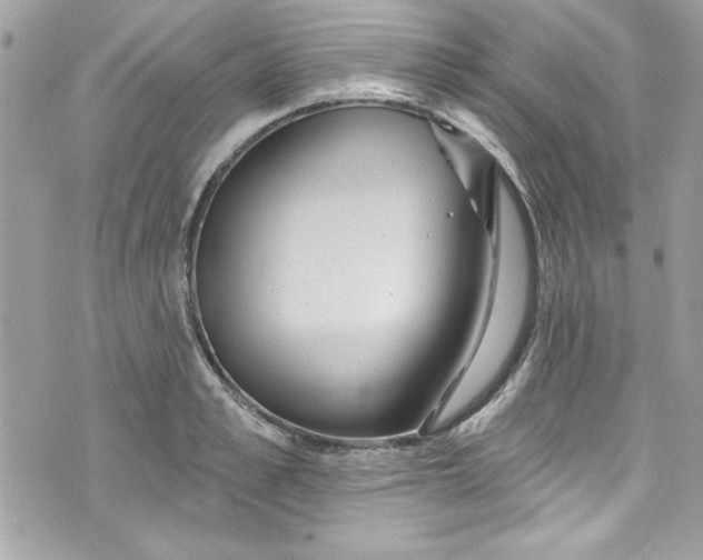 X0000075830989200609291417