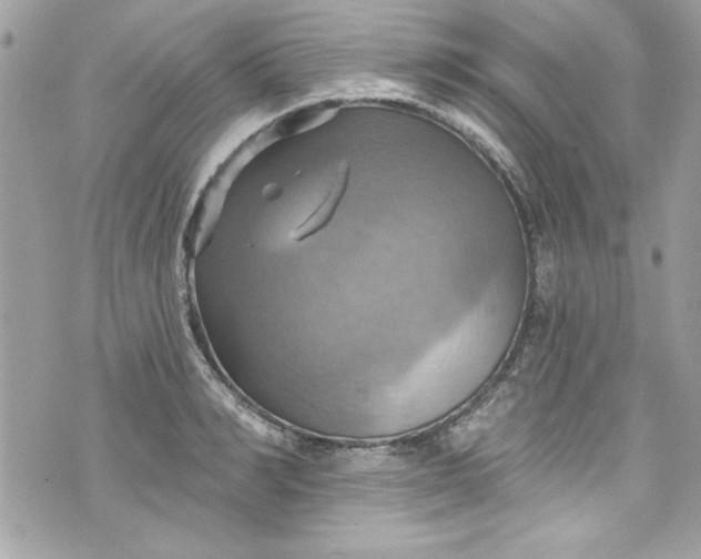 X0000075830990200609291417