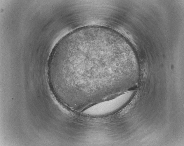 X0000075830991200609291417