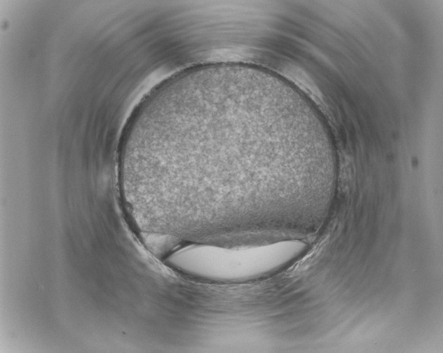 X0000075830992200609291417