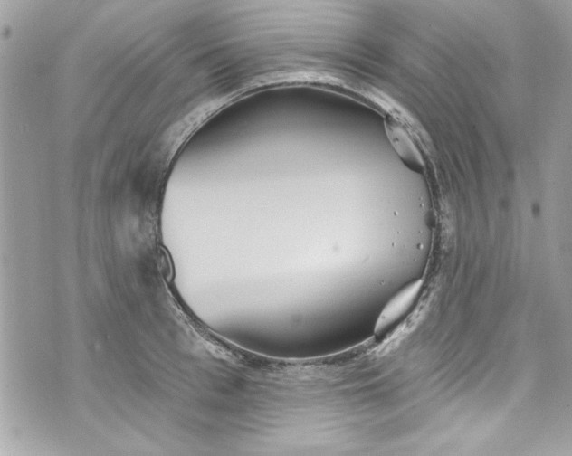 X0000075830993200609291417