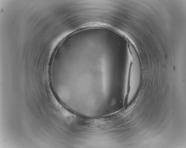 X0000075830995200609291417