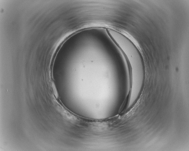 X0000075830996200609291417