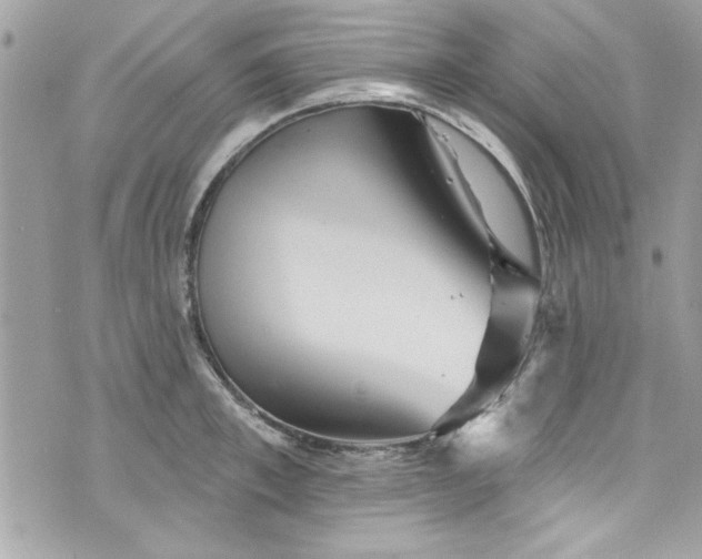 X0000075830997200609291417