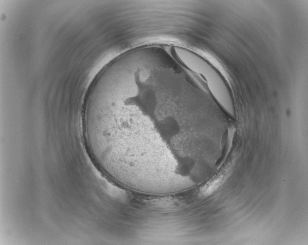 X0000075830999200609291417