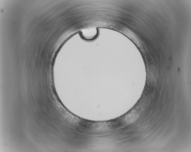 X0000075831000200609291417