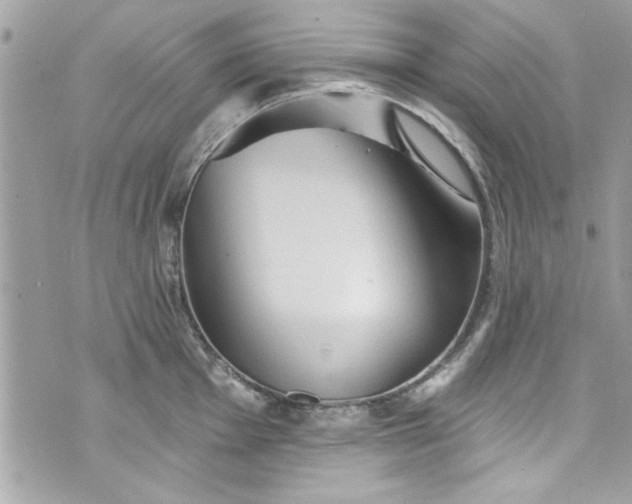 X0000075831001200609291417