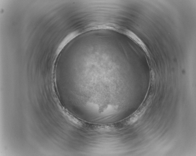 X0000075831002200609291417