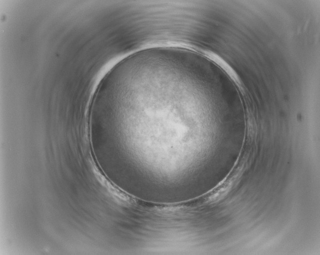 X0000075831004200609291417