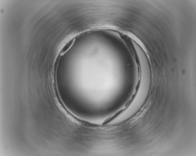 X0000075831005200609291417