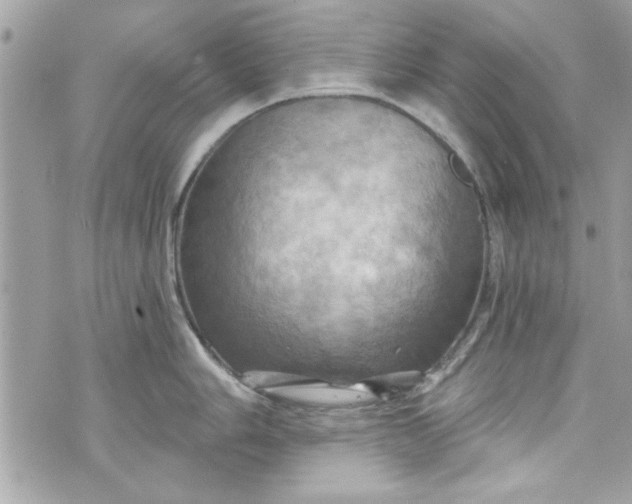 X0000075831006200609291417