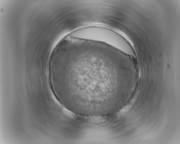 X0000075831007200609291417