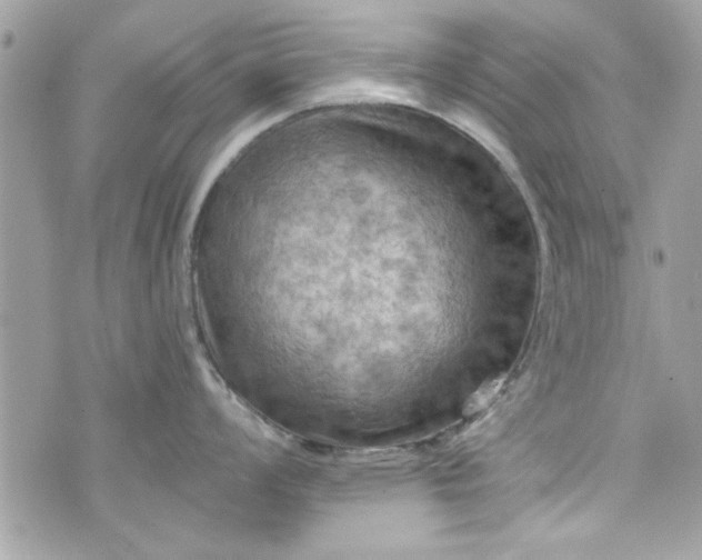 X0000075831008200609291417