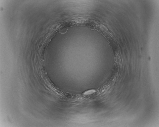 X0000075831009200609291416