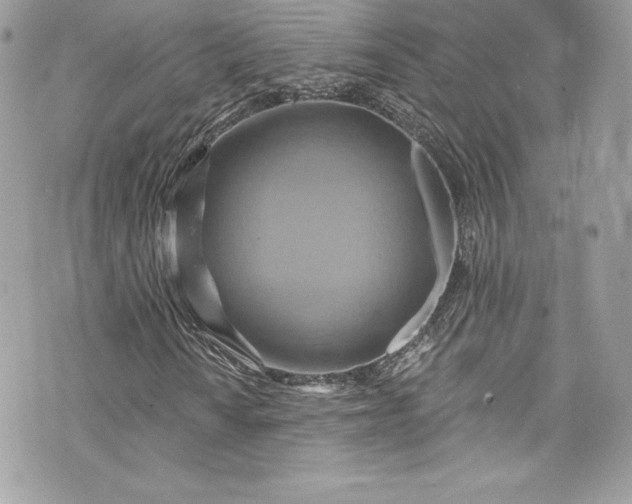 X0000075831010200609291416