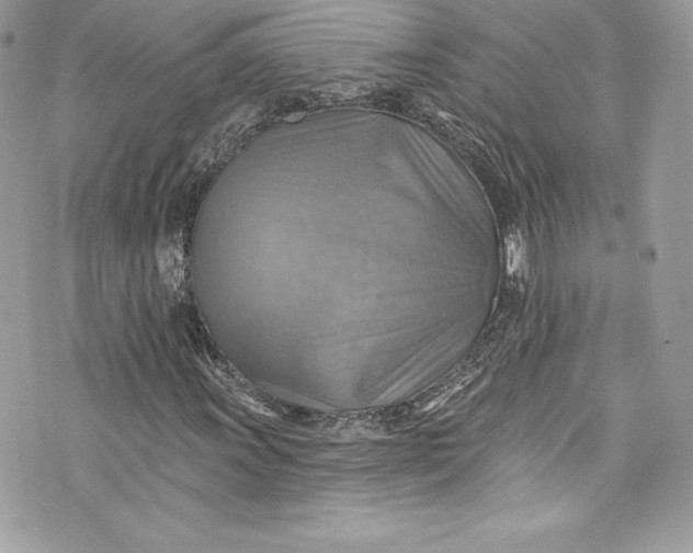 X0000075831011200609291416