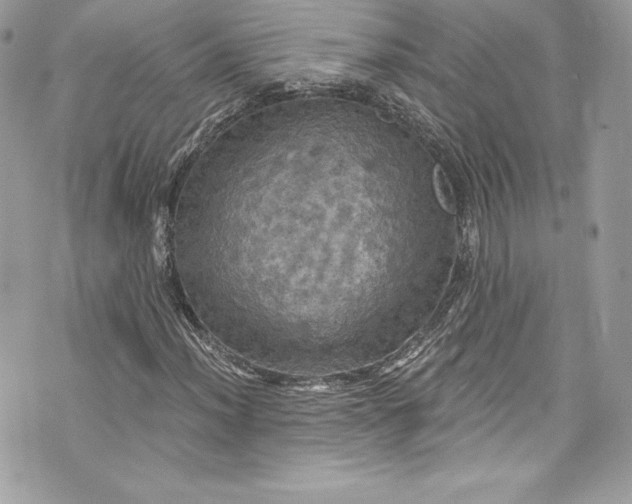 X0000075831012200609291416