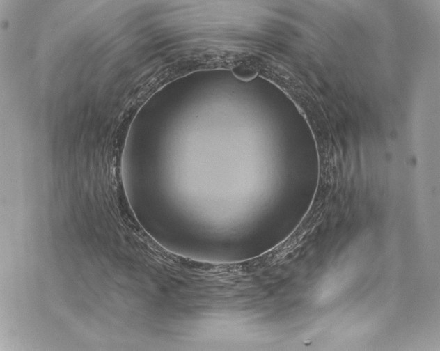 X0000075831013200609291416