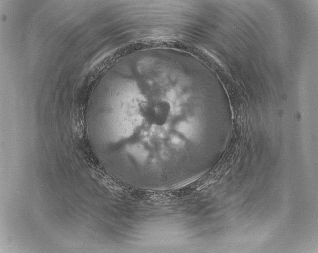 X0000075831015200609291416