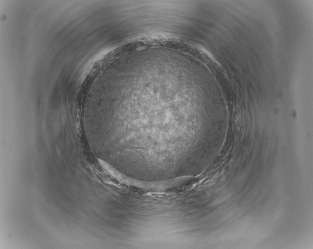 X0000075831016200609291416