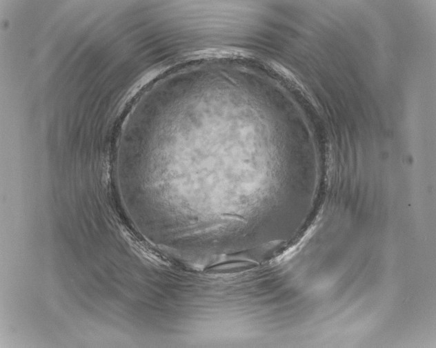 X0000075831017200609291416