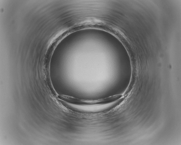 X0000075831018200609291416