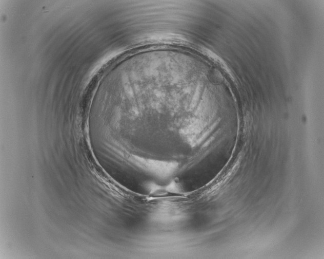 X0000075831019200609291416