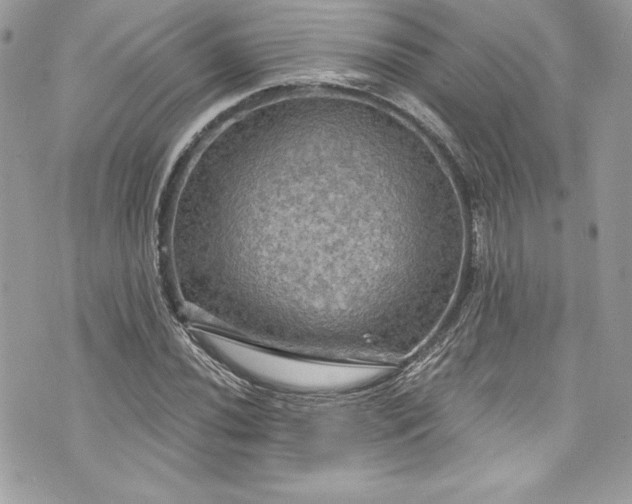 X0000075831020200609291416