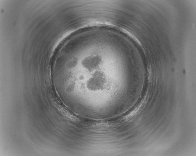 X0000075831021200609291416