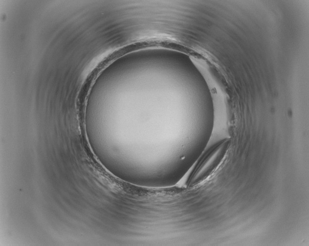 X0000075831022200609291416