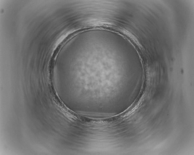 X0000075831023200609291416