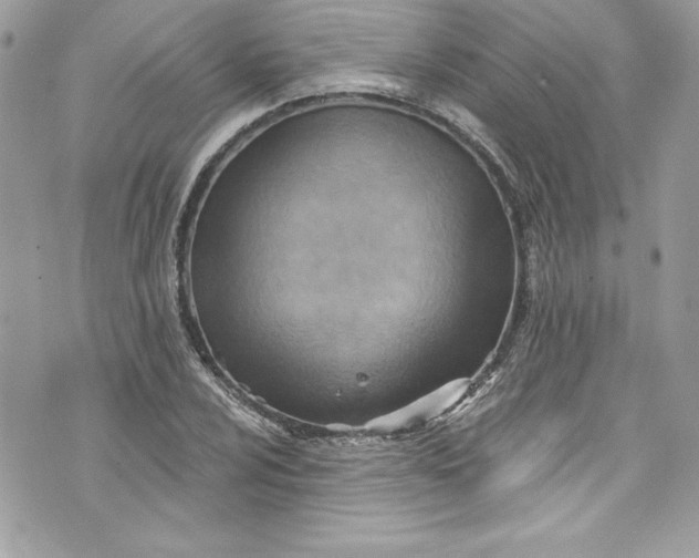 X0000075831024200609291416