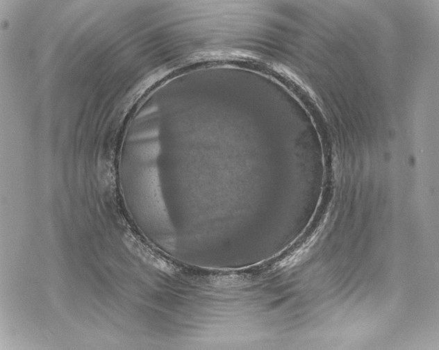 X0000075831025200609291416