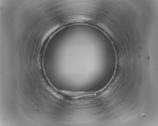 X0000075831026200609291416