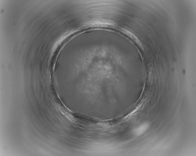 X0000075831027200609291416