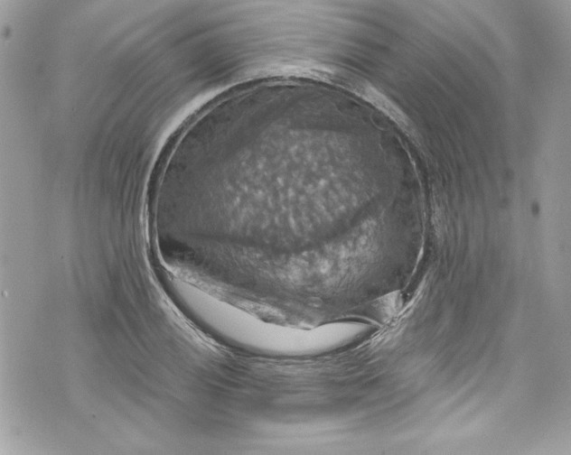 X0000075831028200609291417