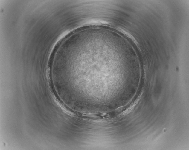 X0000075831029200609291417