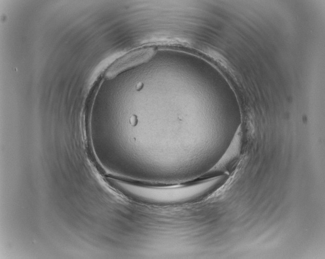 X0000075831030200609291417